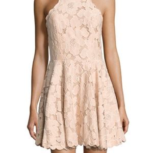 Tularosa Cyrus Halter-Neck Lace Dress